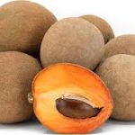 میوه مَمِی از درخت مکزیکی