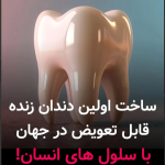 ساخت اولین دندان زنده جهان